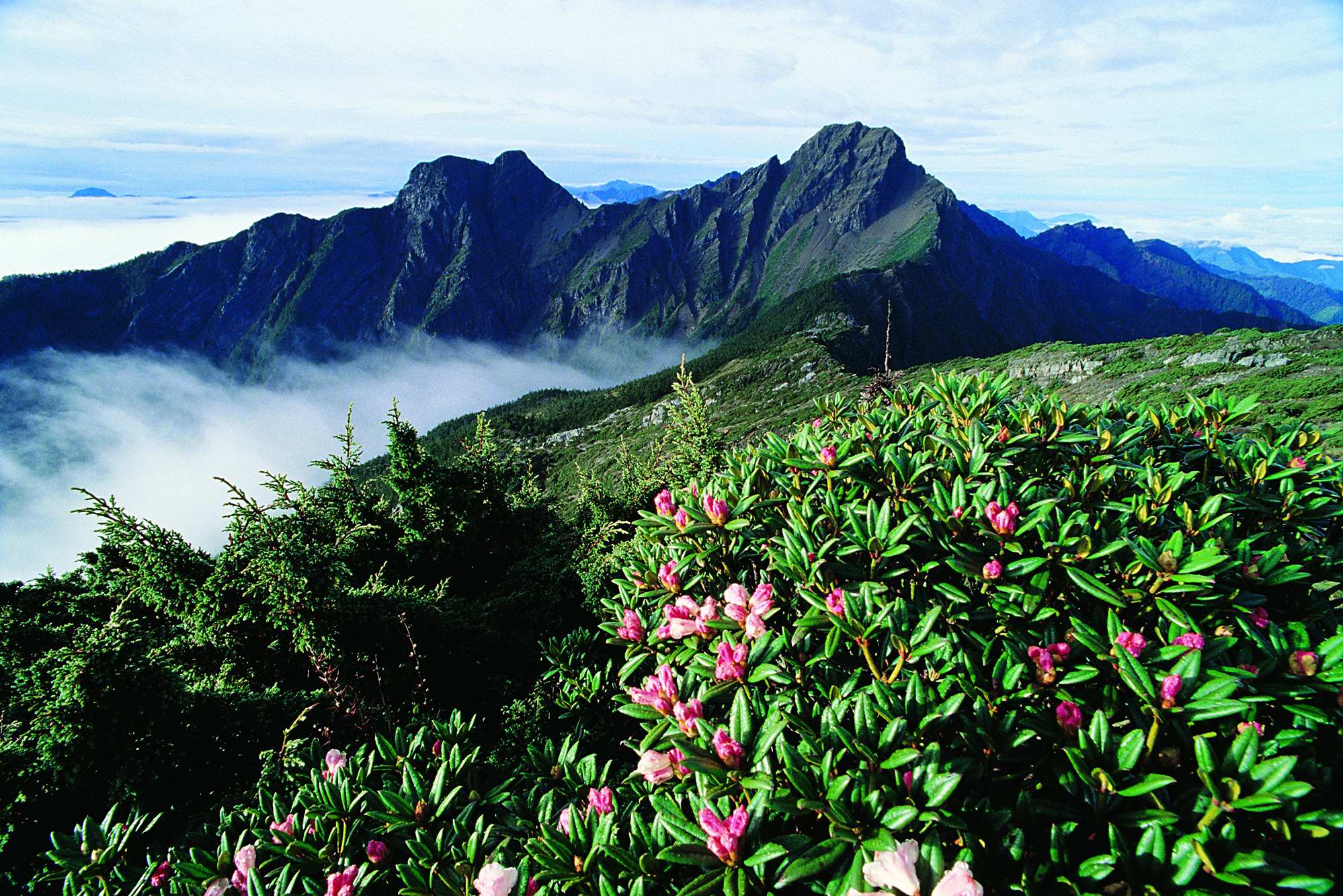 Three more national parks in Taiwan
