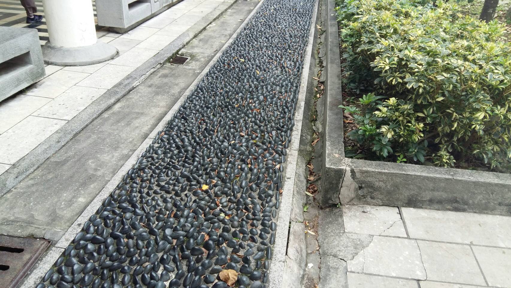 Health path?