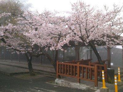 East Asian Weather Report for Wednesday, March 27