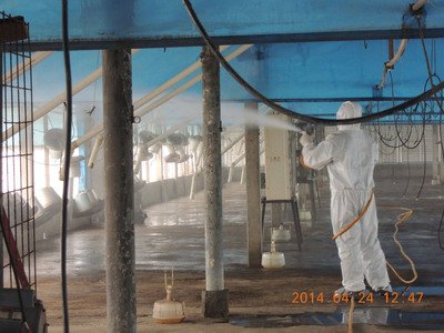 Taiwan to report H5N2 bird flu outbreak to OIE