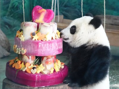 Baby panda Yuanzai celebrates her first birthday
