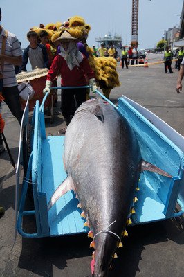 ISC meeting on tuna fishing to kick off in Taipei