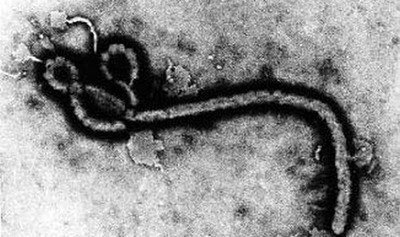 Foreign ministry monitoring West Africa Ebola outbreak