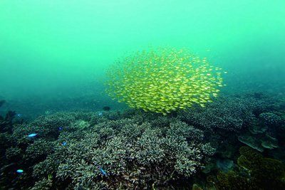 Newest national park to highlight rich marine life of Penghu