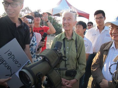 Taiwan awards Goodall for contribution to ecological conservation