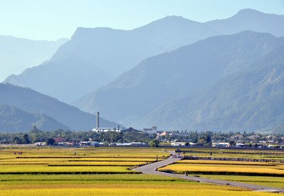 Taiwan cuts irrigation of rice fields amid drought