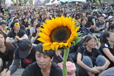 Taiwan News Encyclopedia: Sunflower Student Movement