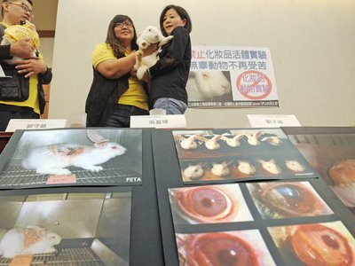 Legislator introduces bill to ban testing cosmetic products on animals