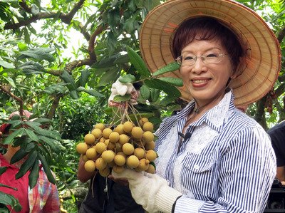 It would be wrong to give up Chinese market: KMT candidate