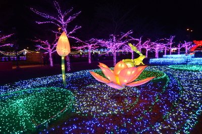 Taiwan Lantern Festival kicks off in Taoyuan