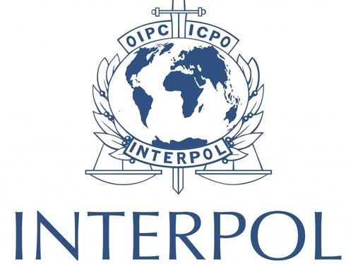 Foreign Ministry thanks US for support of Interpol observer bid