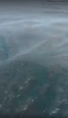 Oil spill left by grounded vessel hasn’t spread: water department