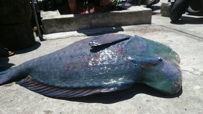 Diplomats in contact with EU about changes to fisheries laws