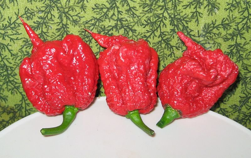 A spicy contest