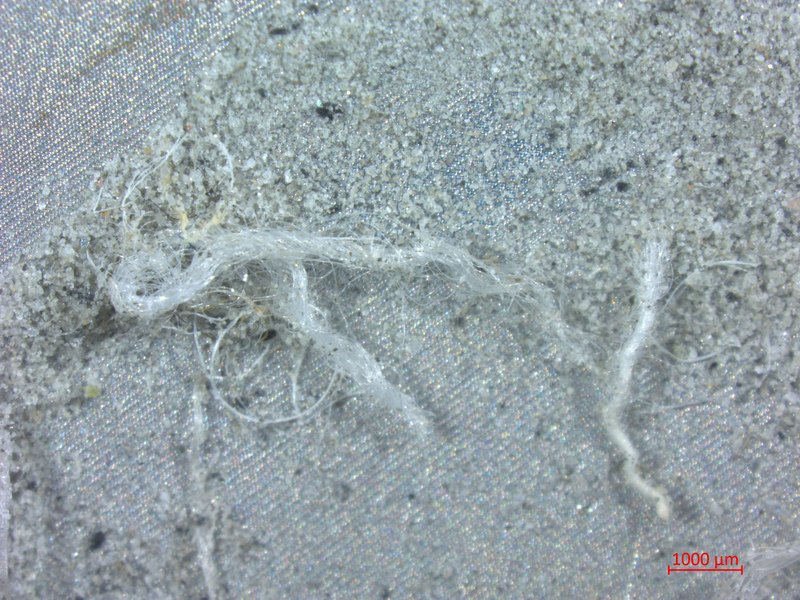 Indigenous property, 40s and microplastics
