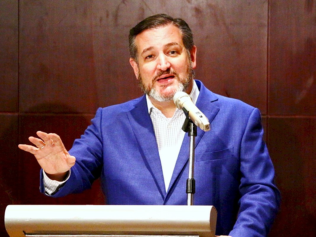 US Senator Cruz introduces SOS act to allow display of Taiwan flag