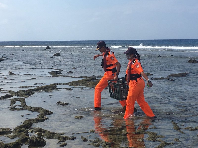 Baby sea turtle saved by Green Island coast guard
