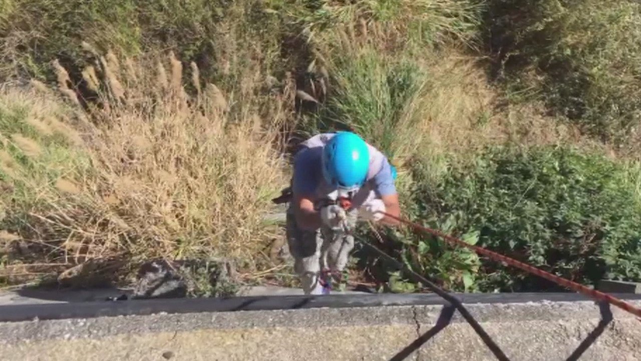 Video: Meet Taiwan’s mountaineering garbage brigade