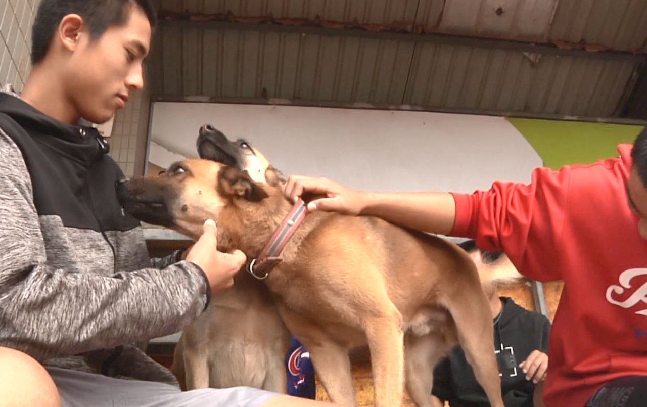 VIDEO: Micro film “23 Campus Dogs” wins education ministry’s top prize