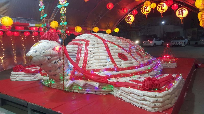 Penghu residents present “prosperity turtles” ahead of festival
