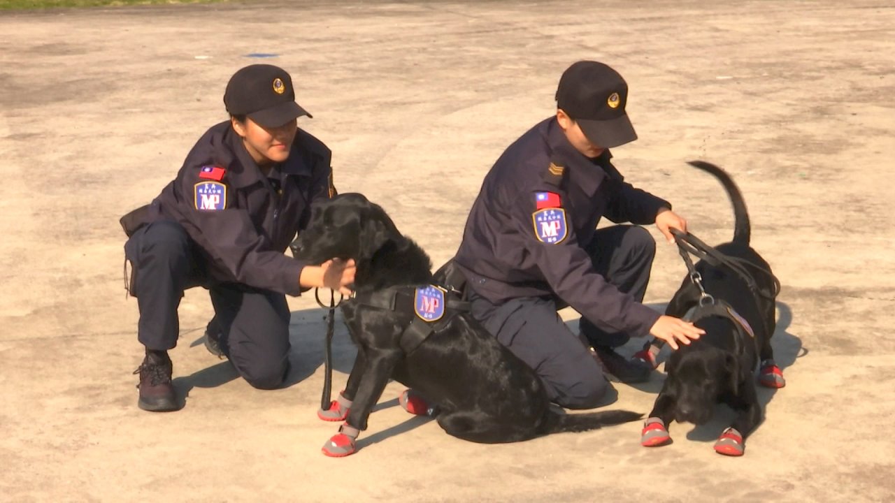 VIDEO: Military Police sets up special drug sniffer dog unit