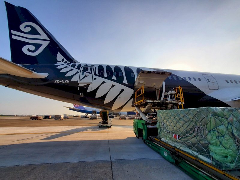 Air New Zealand announces resumption of direct flights to Taiwan