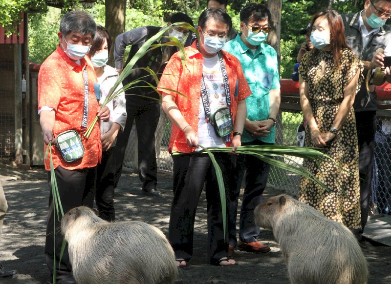 VIDEO: Health minister sparks fashion trends as he travels to Tainan