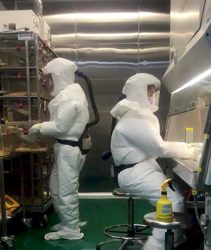 COVID-19: Taiwan institute says antibody therapy shows promise