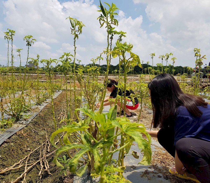 Taiwan World Vision aims to help 1000 disadvantaged girls