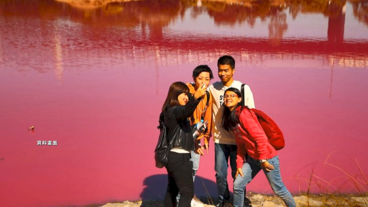 VIDEO: Kinmen wetlands become new attraction after turning pink