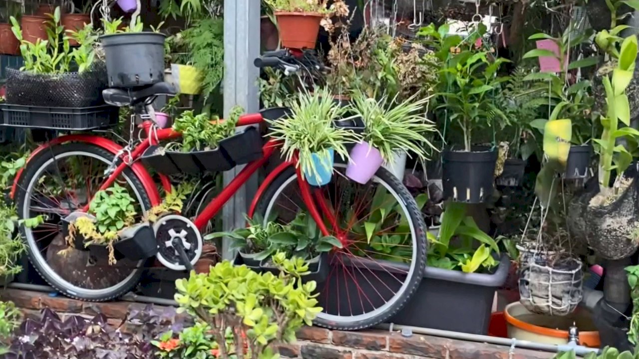 VIDEO: Nantou garbage collectors turn food waste into plant food