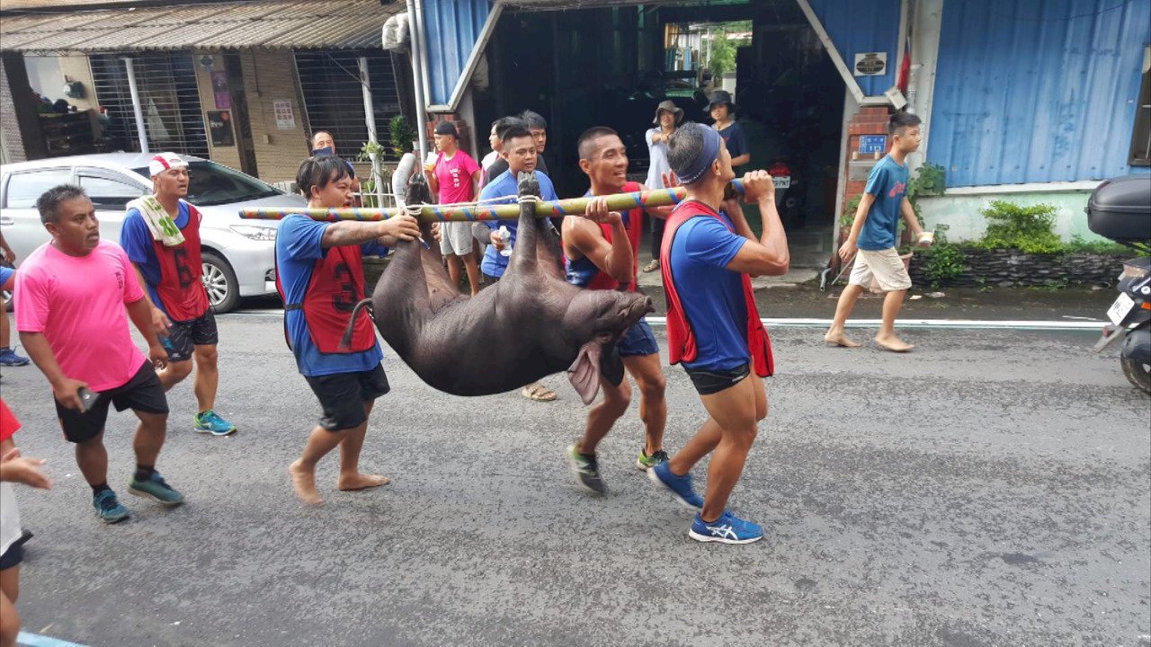 VIDEO: Black hogs featured in Paiwan tribe’s hog-catching race