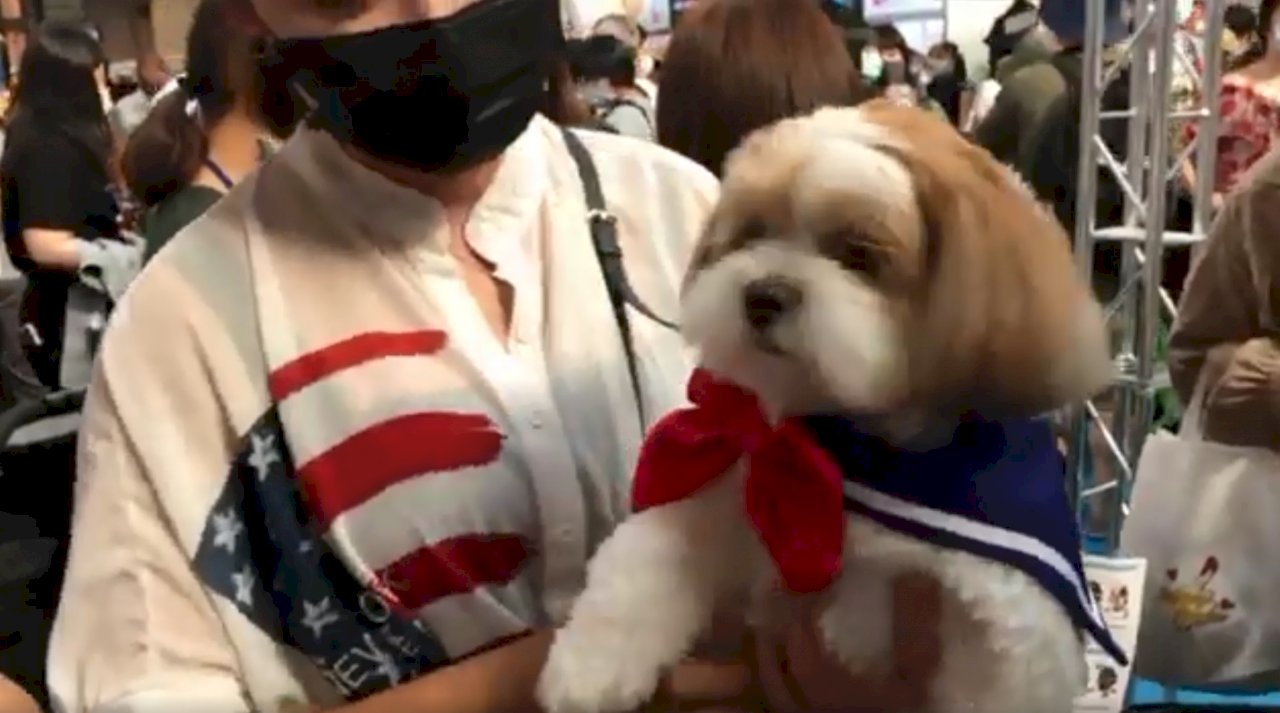 Pet owners share why they love their pets at the 2020 Taipei Pets Fair