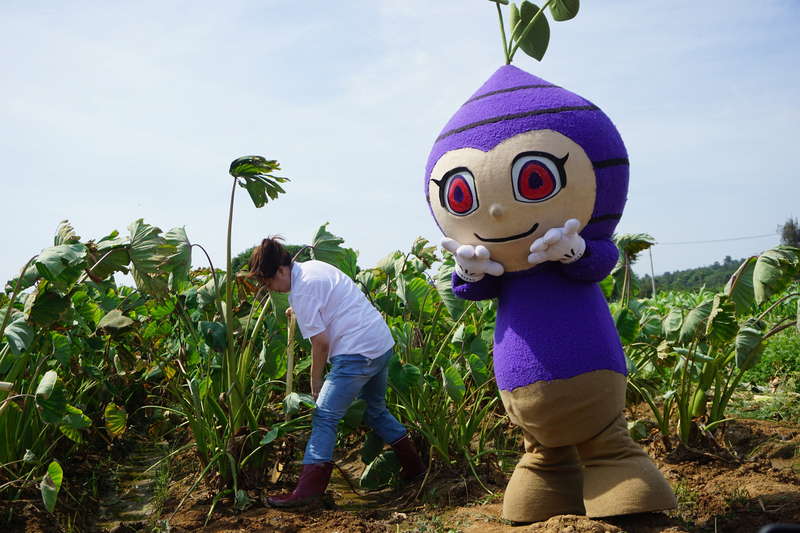 WATCH: Lieyu festival showcases taro delicacies