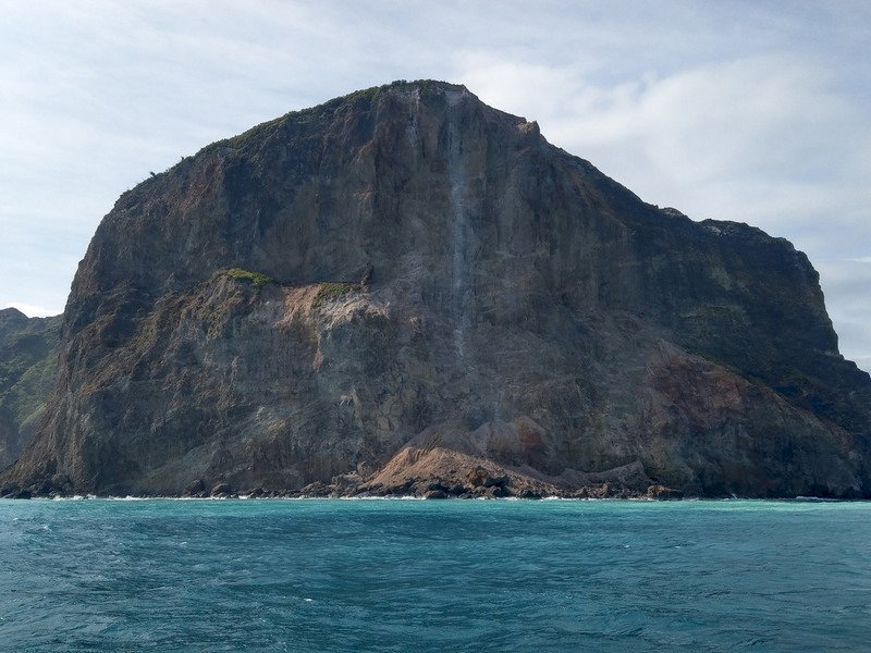 Turtle Island reopens
