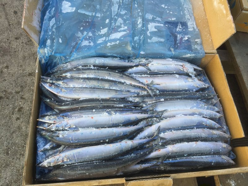 Taiwan participates in online conference to preserve Pacific Saury