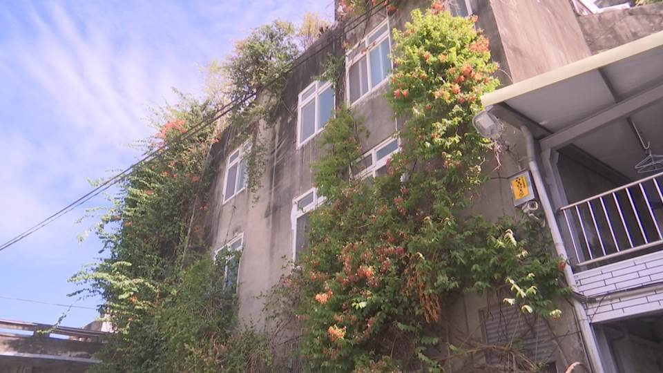 VIDEO: The tree house of Changhua