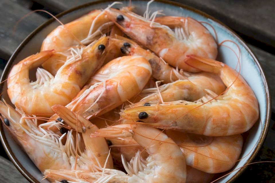 Video: Seafood from Central American allies hits Taiwanese plates