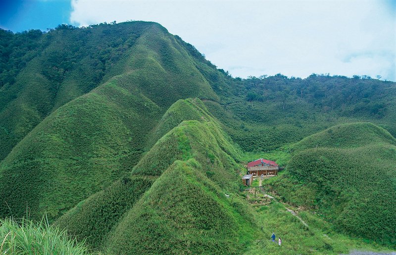 Could Carbon Sinks be the Path to Net-Zero?