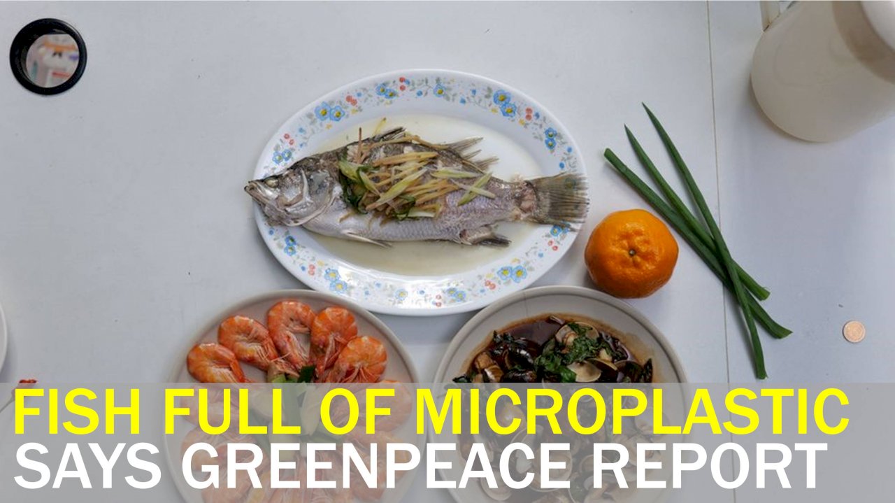 VIDEO: Greenpeace: Taiwanese eat 16,000 microplastic particles per year