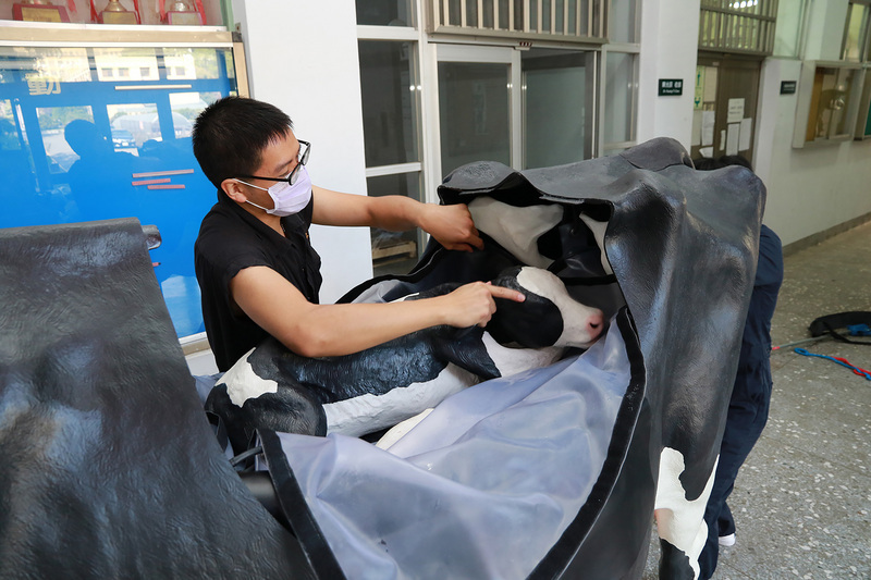 WATCH: Artificial animal training aids introduced at vet school