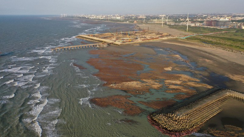 Petition to protect algal reef gets signatures needed for referendum