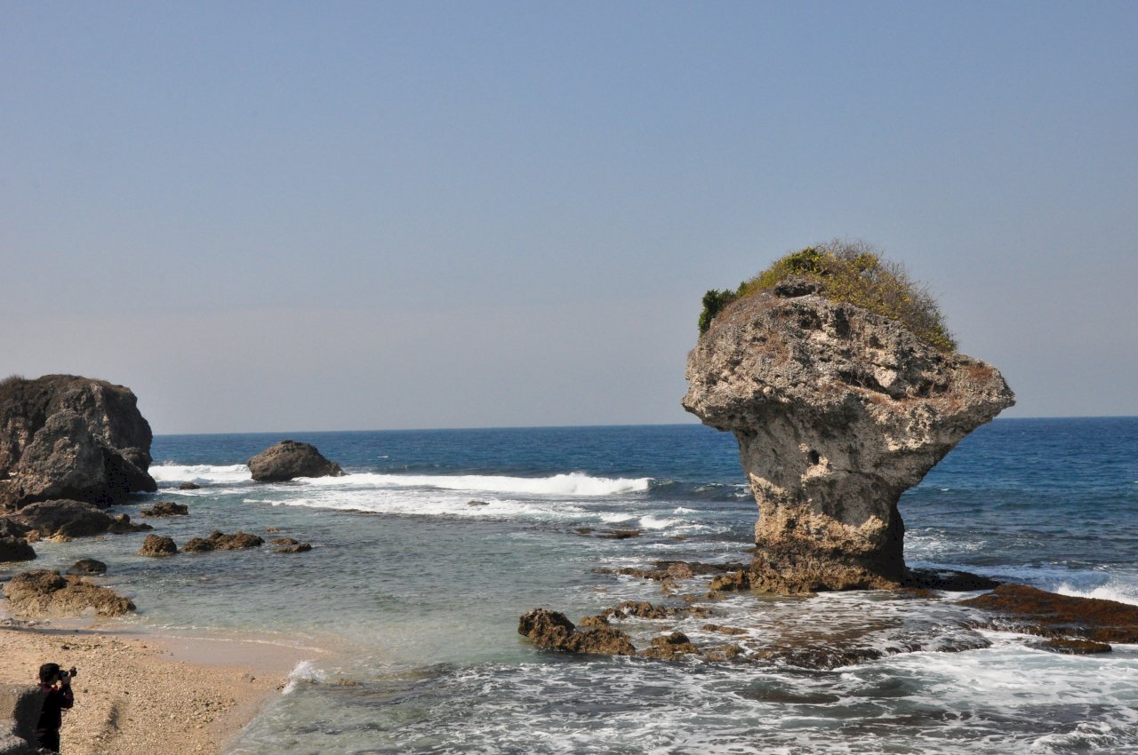 Xiaoliuqiu coral at risk of extinction