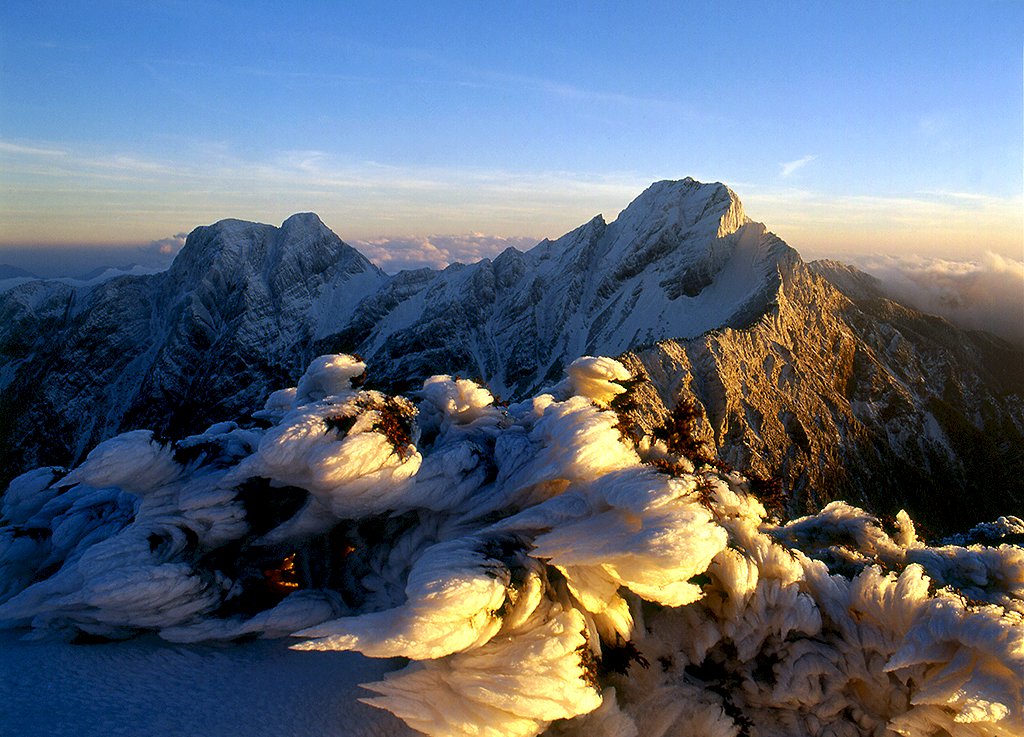 Mountains, Caterpillars, and Golden Bell Awards