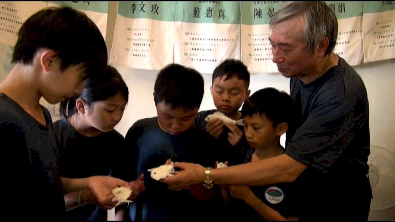 VIDEO: Artist teaches how to make art with seashells to primary school children