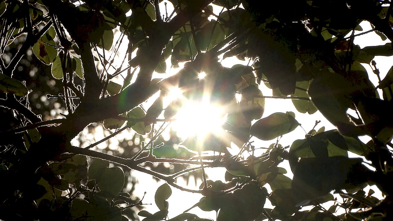 VIDEO: Weather Bureau issues hot weather warnings
