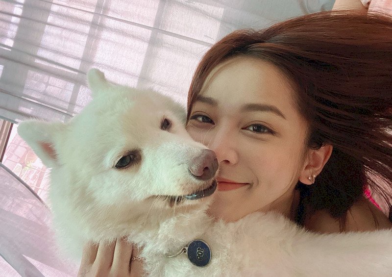 Pet crazy