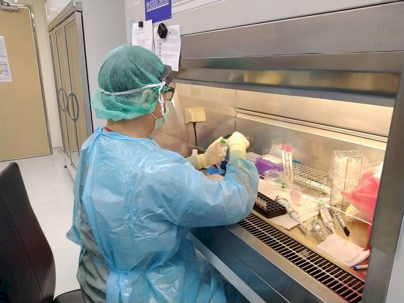 VIDEO:Increased testing capacity needed amid a high COVID-19 death rate