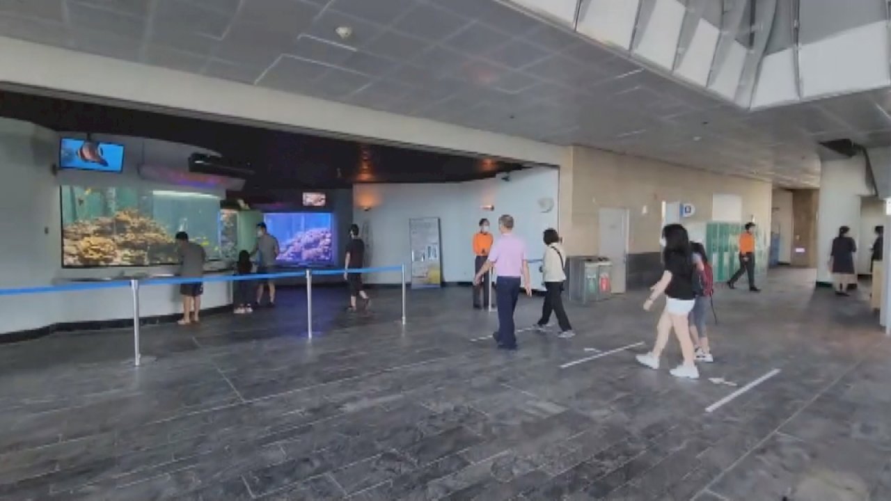 VIDEO: Tourist attractions open as COVID restrictions ease