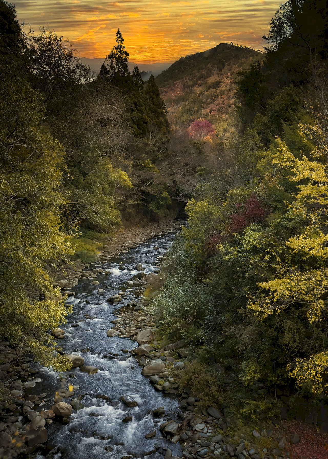 Kyawan River: A conservation area for Sakura Landlocked Salmon